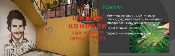 прущие грибы Нефтегорск