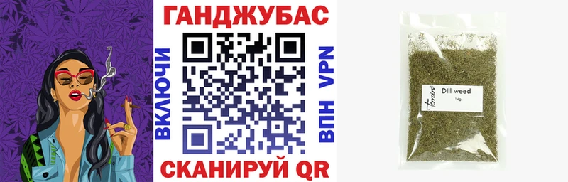 Купить закладки  Кашин  Каннабис VHQ 